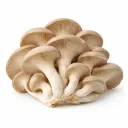 Oyster Mushroom (Fresh)